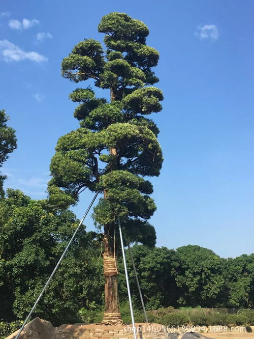 這些雷區莫踩 這些補助速領
